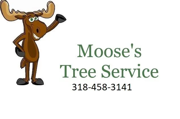 Custom lawn care service for homes in Shreveport, LA by Moose's Tree Service