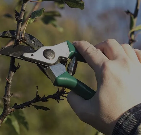 Local lawn mowing service near you across Shreveport, LA - Moose's Tree Service