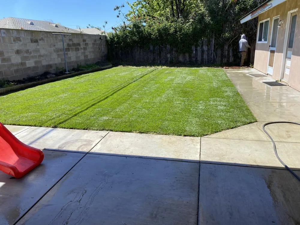 Expert yard maintenance experts serving Oxnard, CA - Mora Bros Landscape And Maintenance