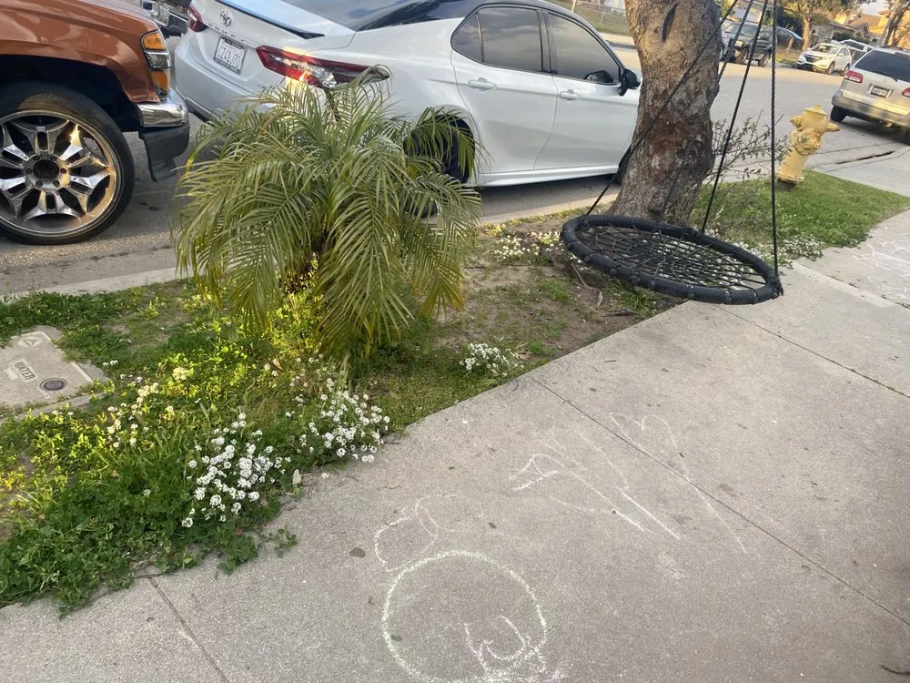 Expert outdoor landscaping in Oxnard, CA by Mora Bros Landscape And Maintenance