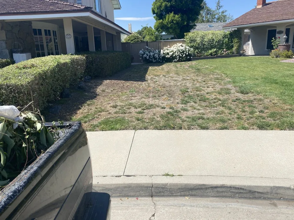 Reliable lawn care service with custom design in Oxnard, CA by Mora Bros Landscape And Maintenance