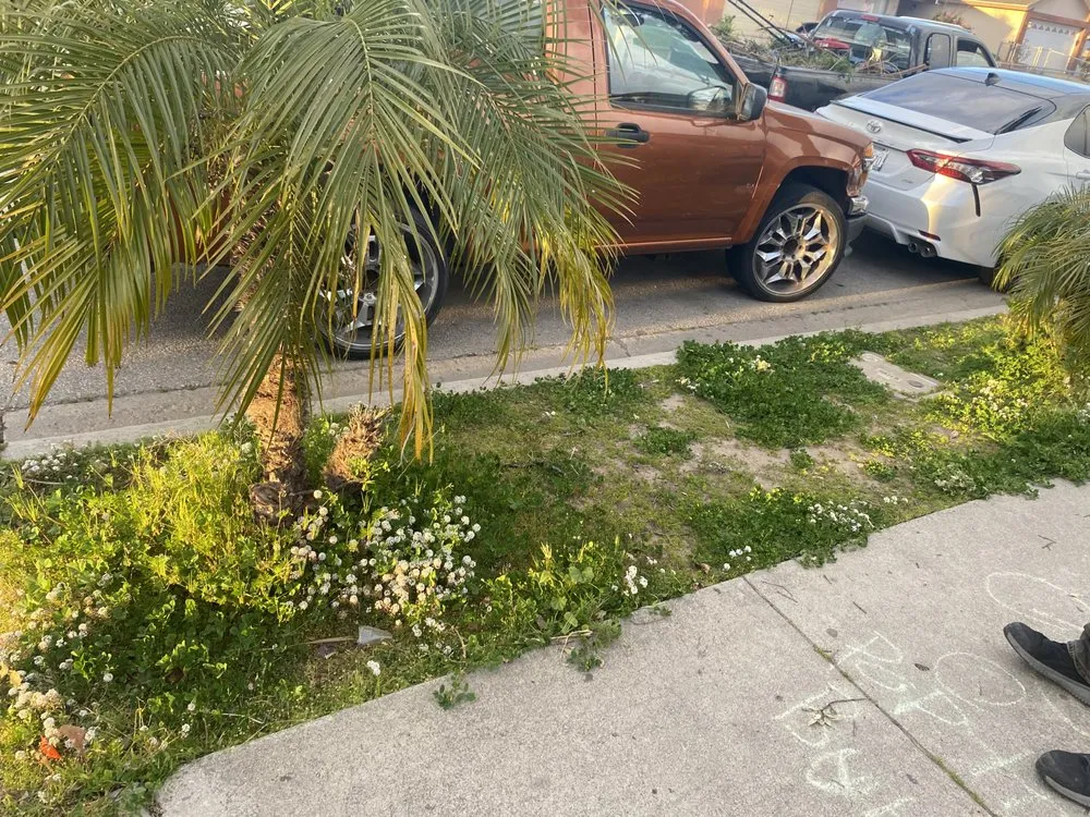 Trusted garden landscaping experts serving Oxnard, CA - Mora Bros Landscape And Maintenance