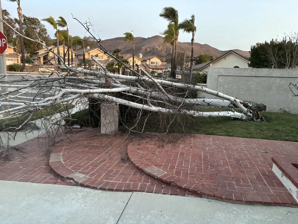 Reliable residential landscaping with custom design across Oxnard, CA - Mora Bros Landscape And Maintenance