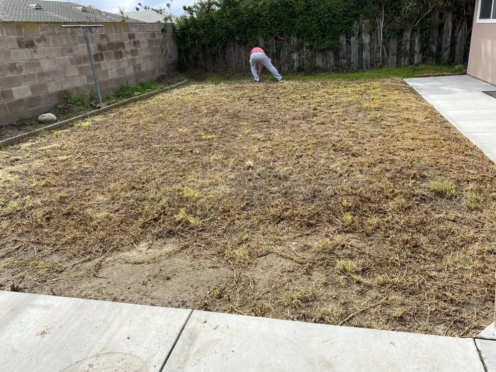 Trusted outdoor landscaping for homes in Oxnard, CA by Mora Bros Landscape And Maintenance