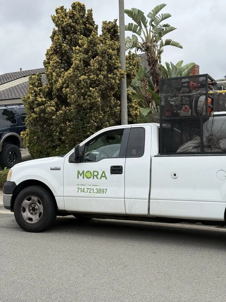 Top-rated landscape design in Santa Ana, CA - Mora Landscape