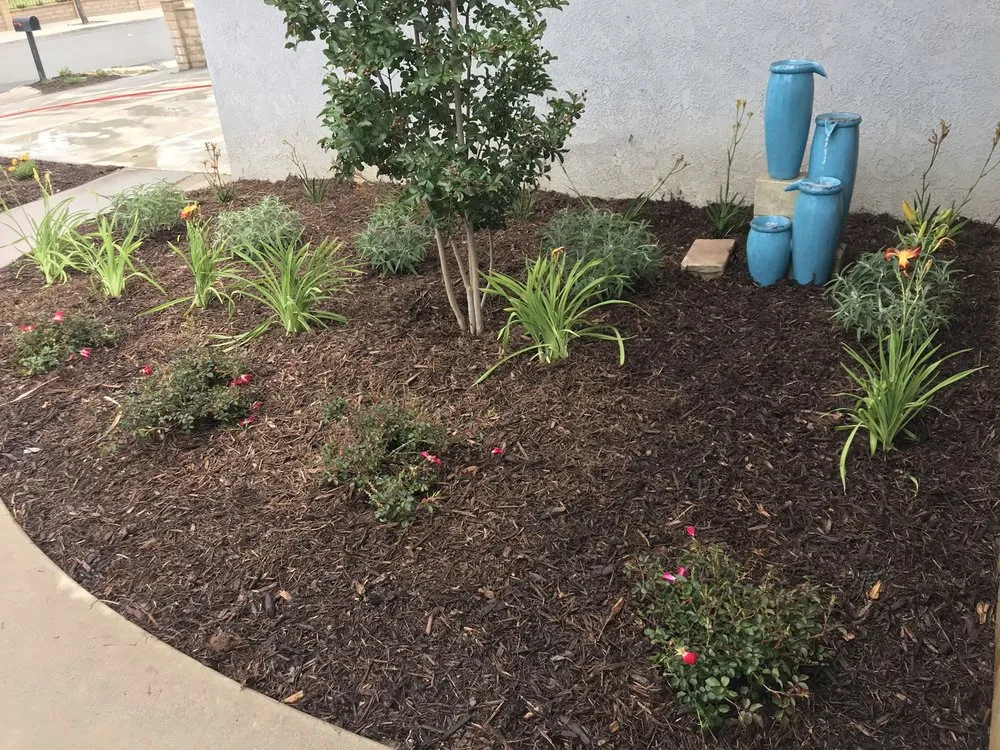 Local lawn care service near you across Santa Ana, CA - Mora Landscape