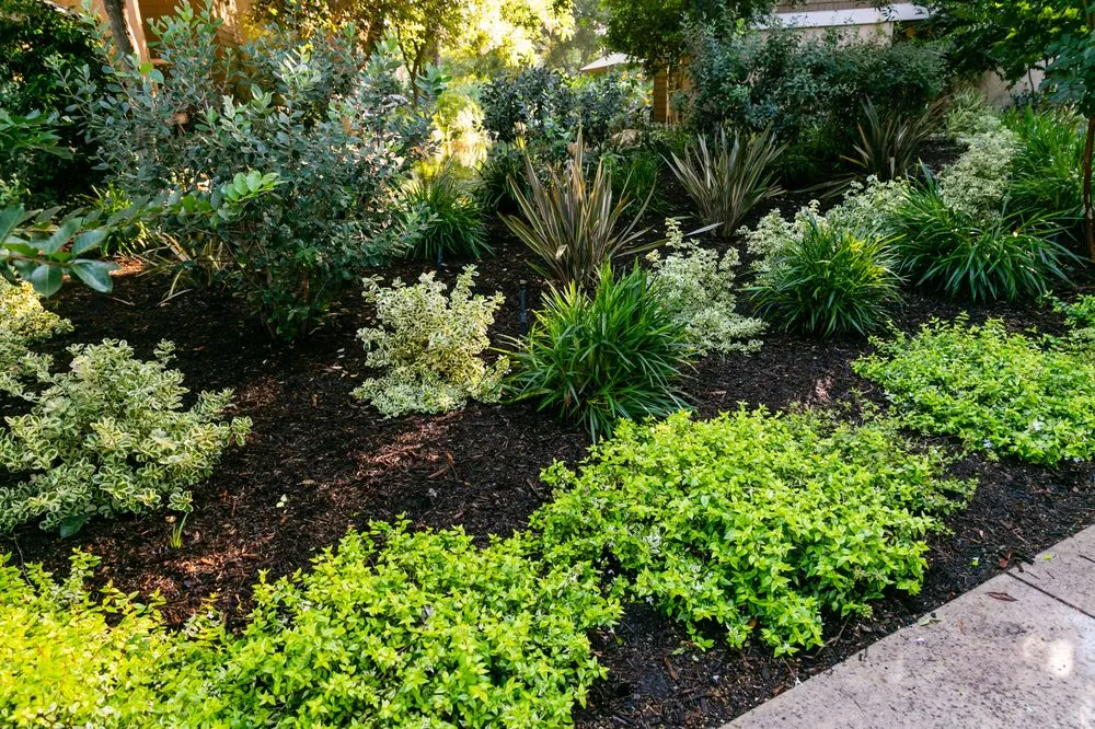 Reliable landscaping services for residential properties across Santa Ana, CA - Mora Landscape