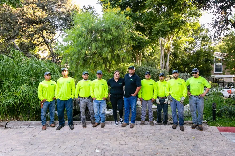 Trusted residential landscaping with custom design in Santa Ana, CA by Mora Landscape