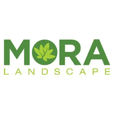 Professional lawn care service in Santa Ana, CA by Mora Landscape