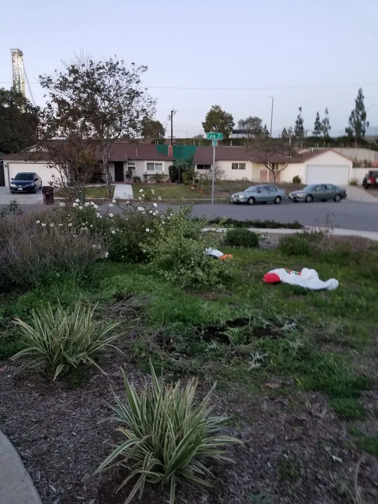 Custom garden landscaping in Santa Ana, CA by Mora Landscape