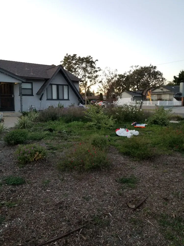 Trusted landscape installation for beautiful yards across Santa Ana, CA - Mora Landscape