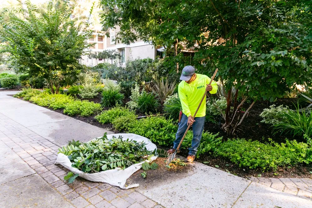 Local landscape installation in Santa Ana, CA by Mora Landscape