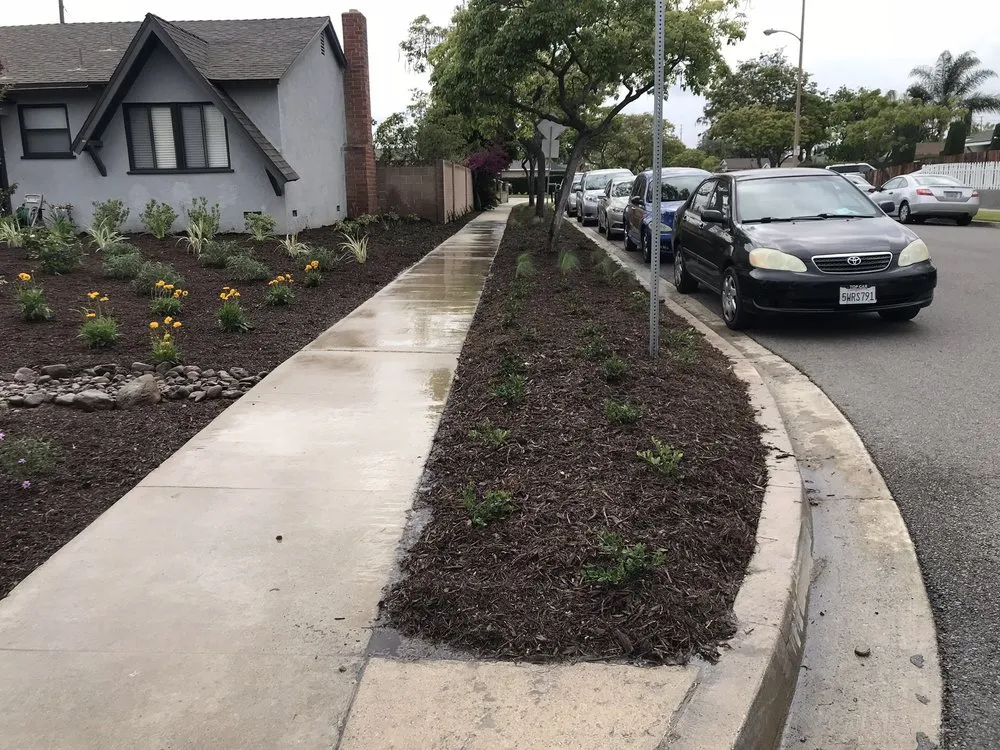 Top-rated yard cleanup service for homes in Santa Ana, CA by Mora Landscape