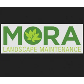 Local residential landscaping experts serving Santa Ana, CA - Mora Landscape