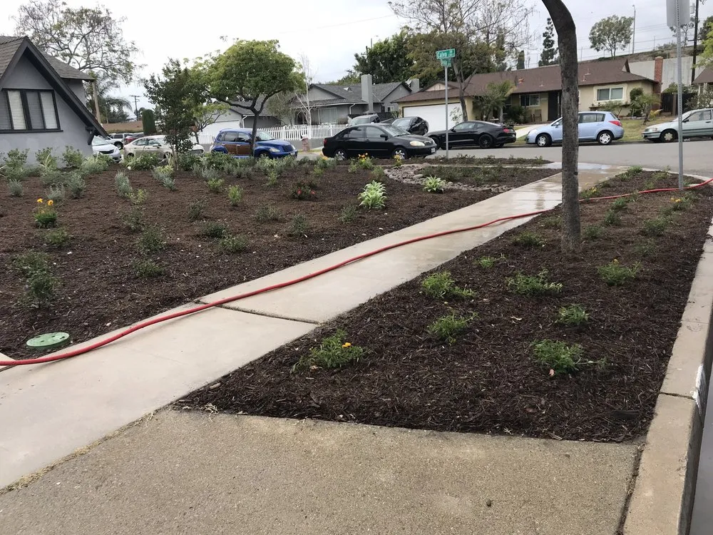 Reliable lawn care service experts serving Santa Ana, CA - Mora Landscape