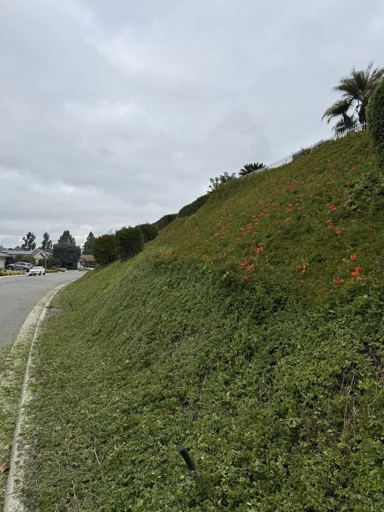 Expert garden landscaping in Santa Ana, CA - Mora Landscape