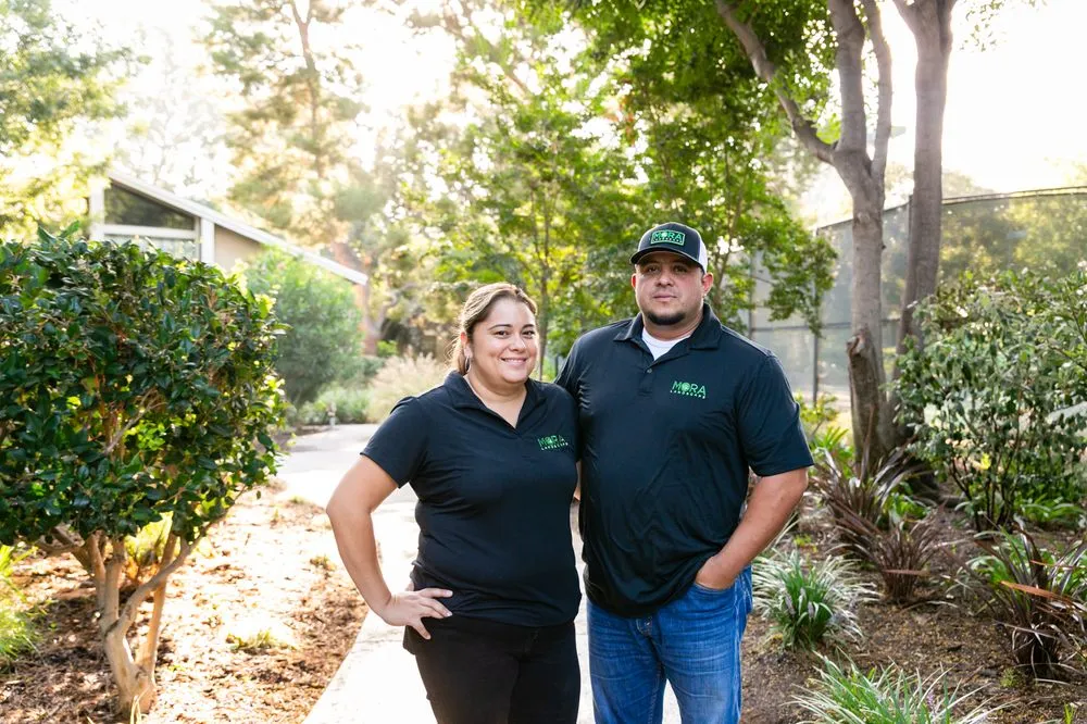 Trusted garden landscaping for year-round maintenance in Santa Ana, CA by Mora Landscape