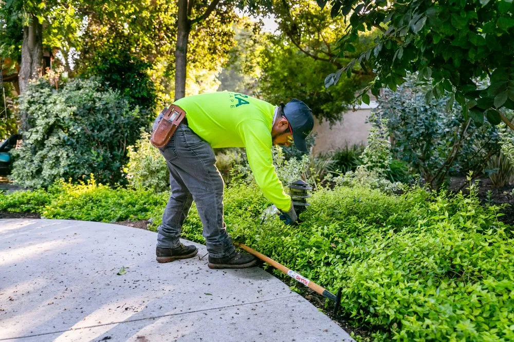Reliable garden landscaping in Santa Ana, CA by Mora Landscape