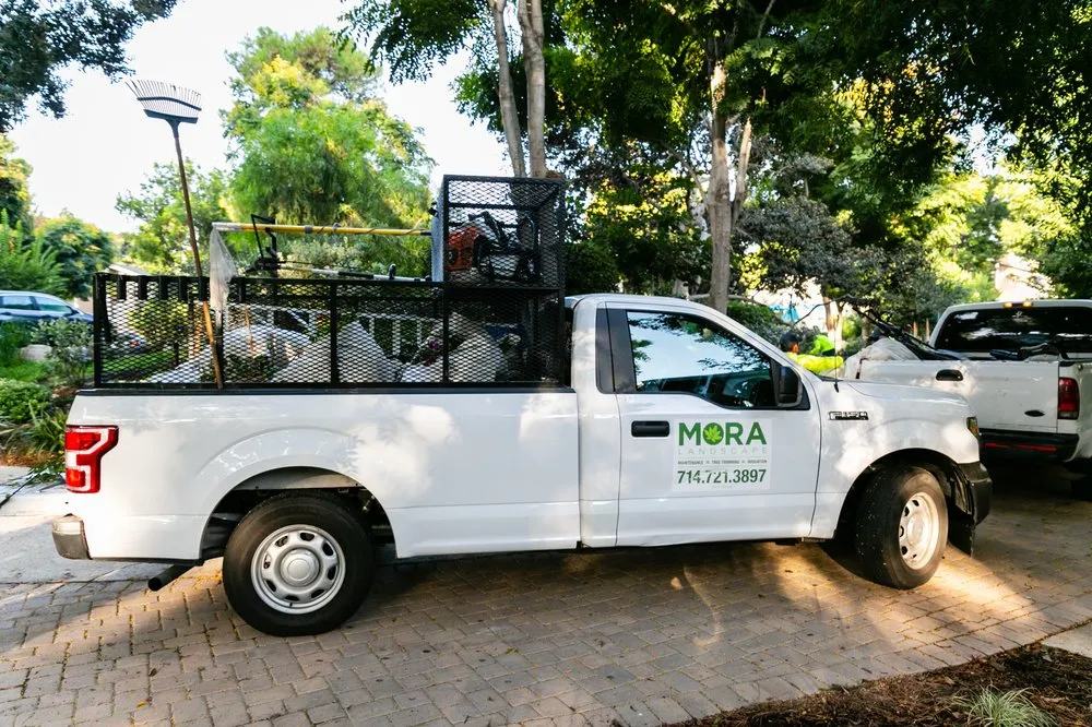 Custom lawn care service in Santa Ana, CA by Mora Landscape