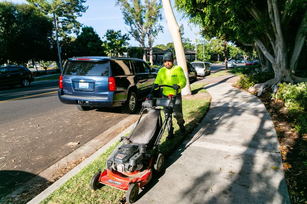 Custom garden landscaping for outdoor upgrades in Santa Ana, CA by Mora Landscape