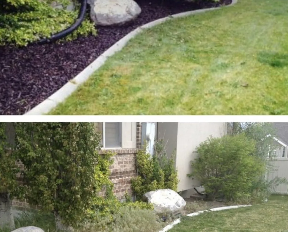 Professional landscape installation in Sacramento, CA by Mora Lawn Service