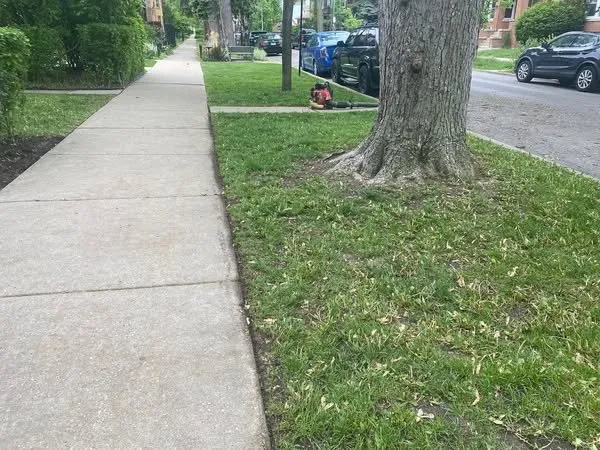 Top-rated lawn care service for year-round maintenance across Chicago, IL - Moraflor landscaping