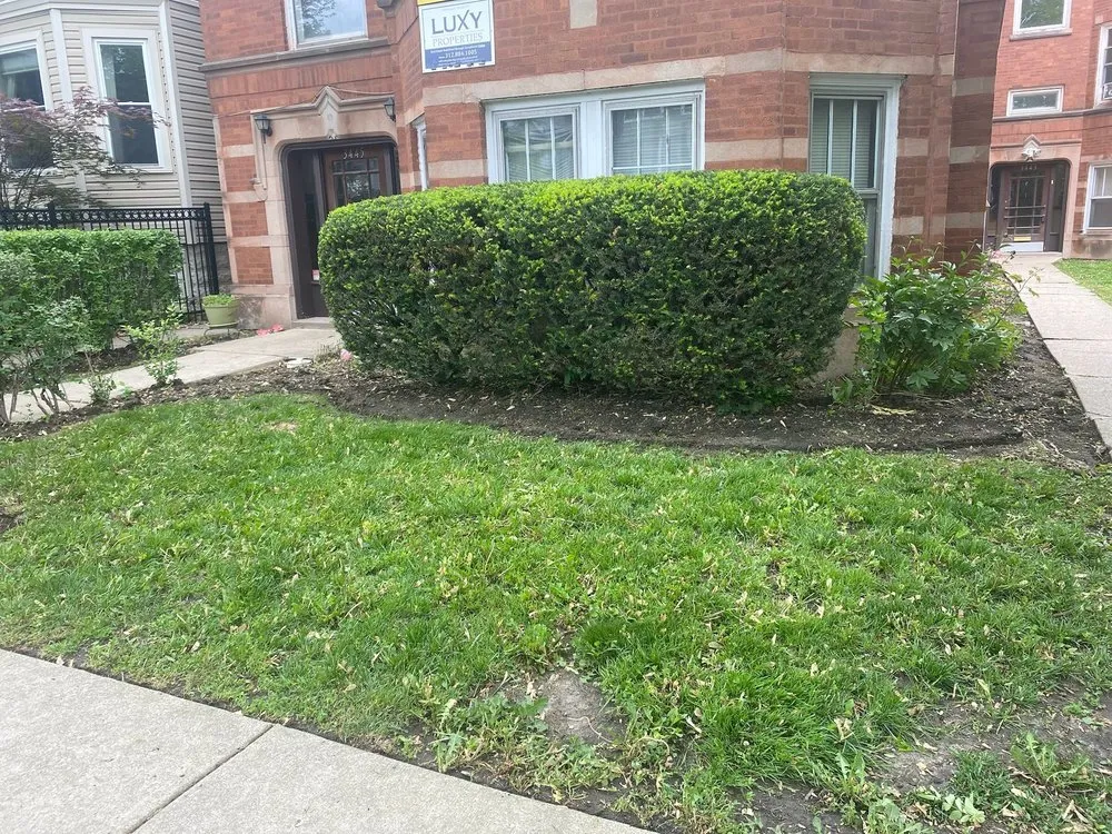 Affordable lawn mowing service experts serving Chicago, IL - Moraflor landscaping