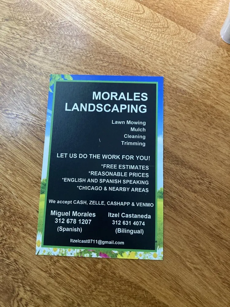 Reliable yard maintenance in Chicago, IL - Moraflor landscaping