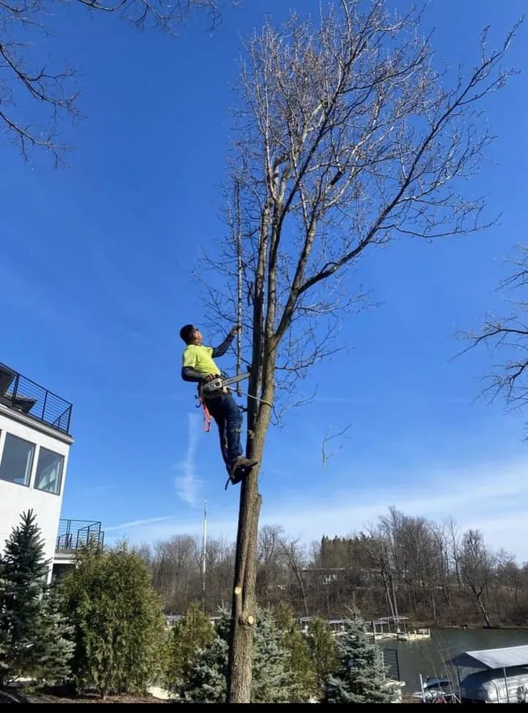 Trusted garden landscaping experts serving Indianapolis, IN - Morales Bros