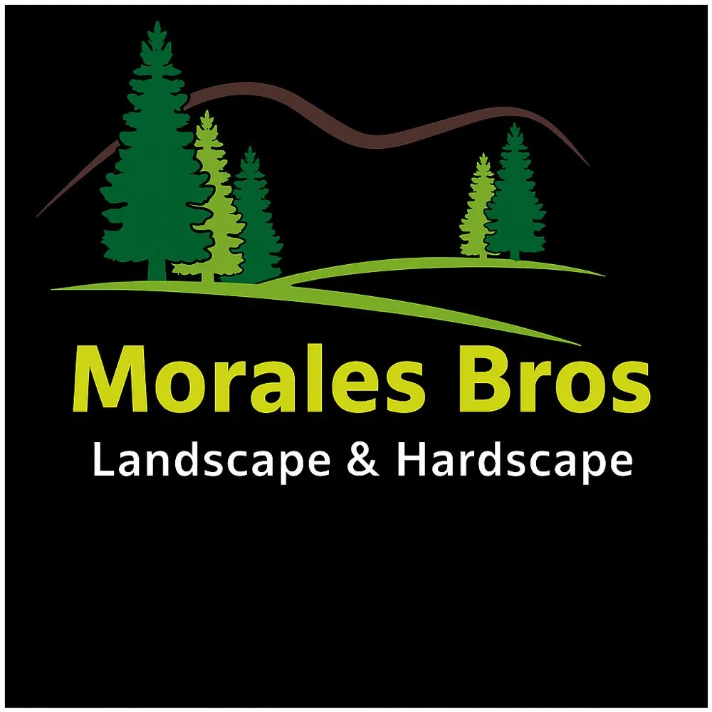 Expert yard cleanup service experts serving Indianapolis, IN - Morales Bros
