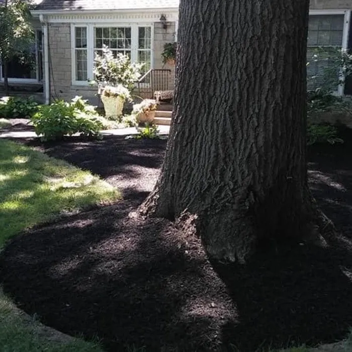 Local yard cleanup service for beautiful yards across Indianapolis, IN - Morales Bros