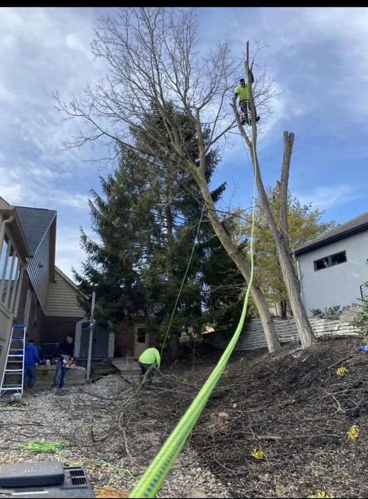 Professional landscape design experts serving Indianapolis, IN - Morales Bros