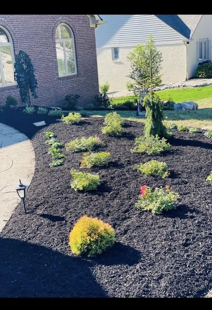 Reliable lawn care service in Indianapolis, IN - Morales Bros