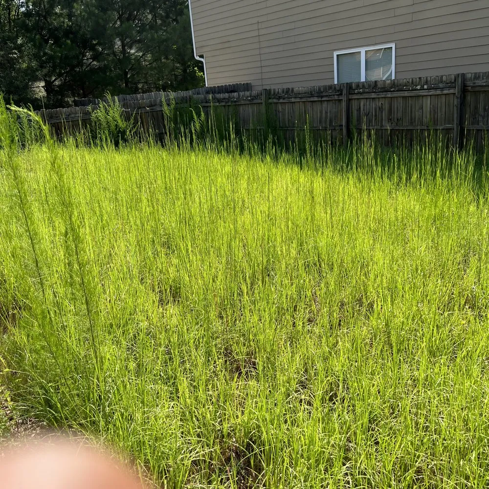 Reliable garden landscaping for beautiful yards across Gainesville, GA - Morales Brothers Landscaping Pros