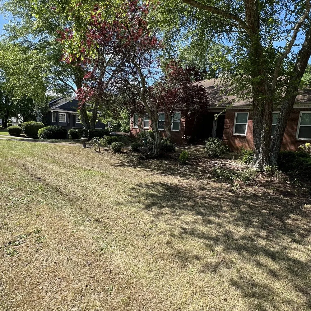 Custom landscaping services with custom design across Gainesville, GA - Morales Brothers Landscaping Pros