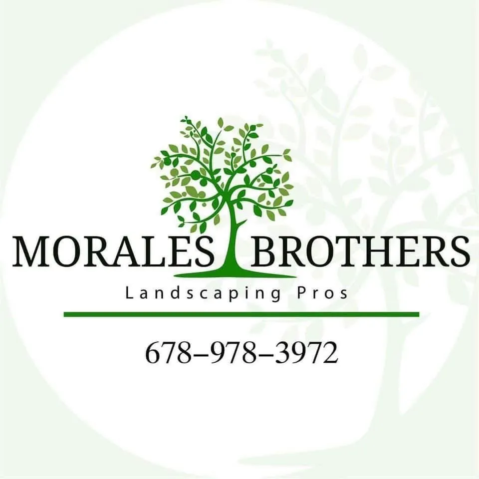Local garden landscaping experts serving Gainesville, GA - Morales Brothers Landscaping Pros