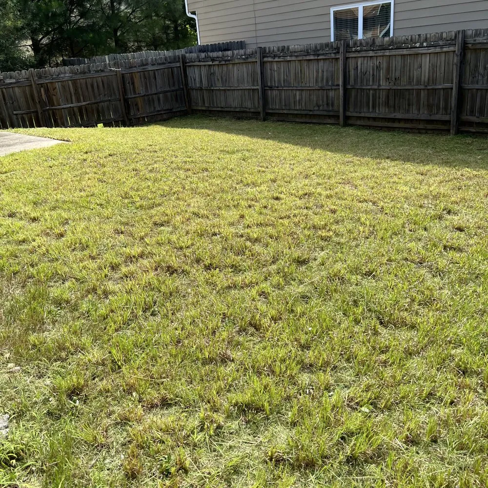 Custom outdoor landscaping for beautiful yards across Gainesville, GA - Morales Brothers Landscaping Pros