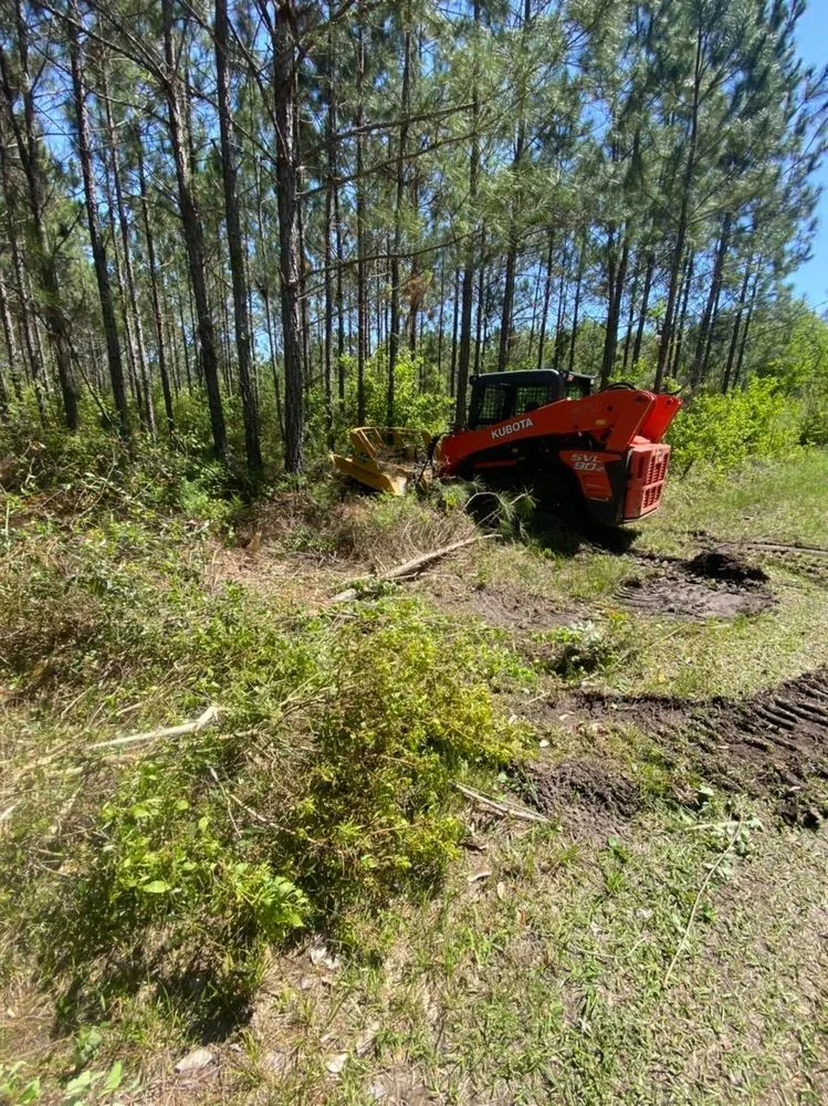 Reliable lawn mowing service for outdoor upgrades in Moultrie, GA by Morales Brothers Pinestraw