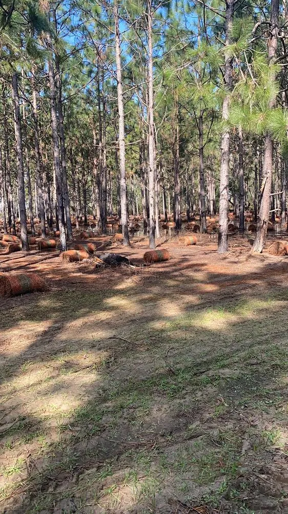 Custom garden landscaping experts serving Moultrie, GA - Morales Brothers Pinestraw