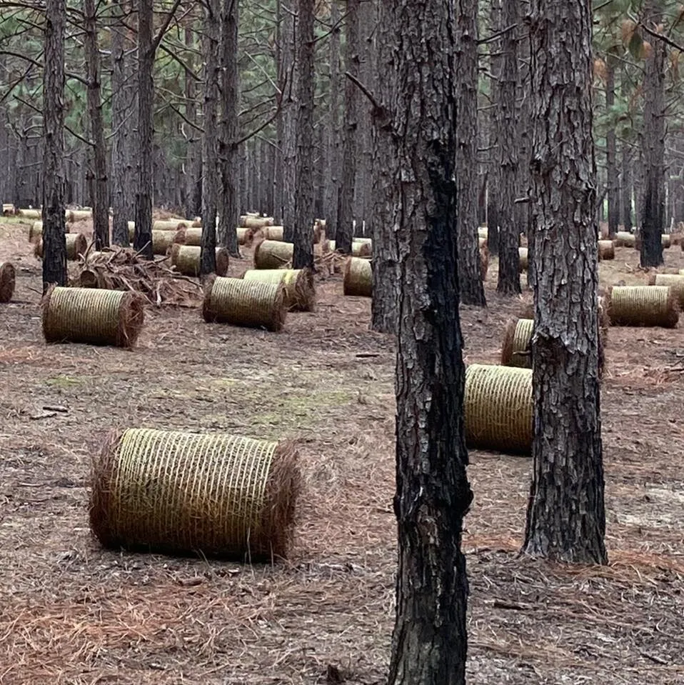 Affordable lawn mowing service with custom design in Moultrie, GA by Morales Brothers Pinestraw