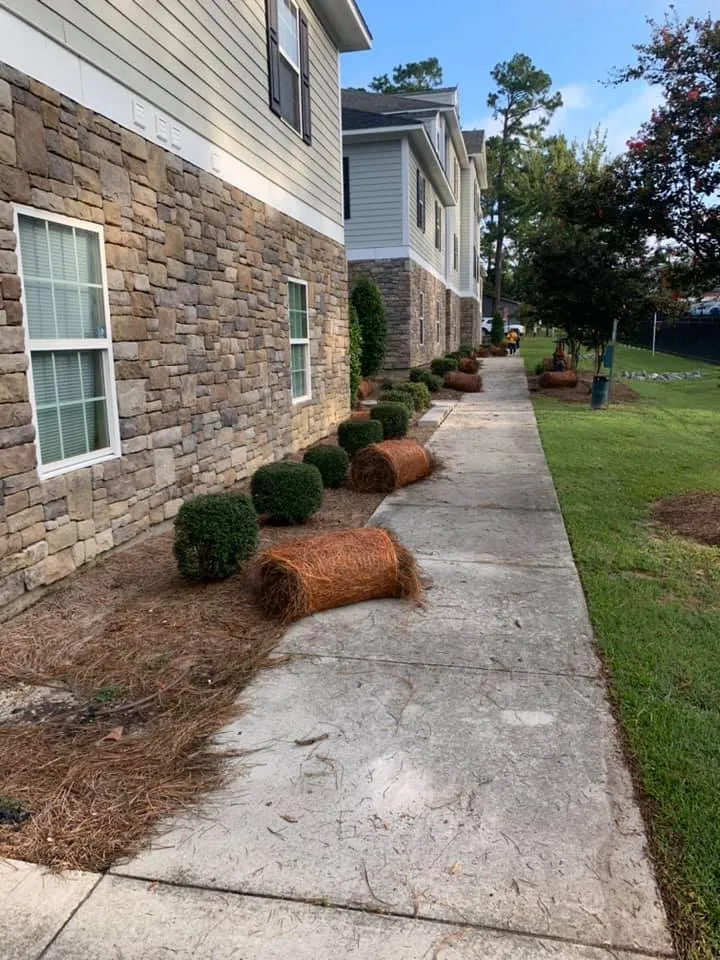 Top-rated landscape installation near you across Moultrie, GA - Morales Brothers Pinestraw