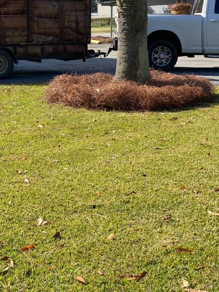 Expert outdoor landscaping for outdoor upgrades in Moultrie, GA by Morales Brothers Pinestraw