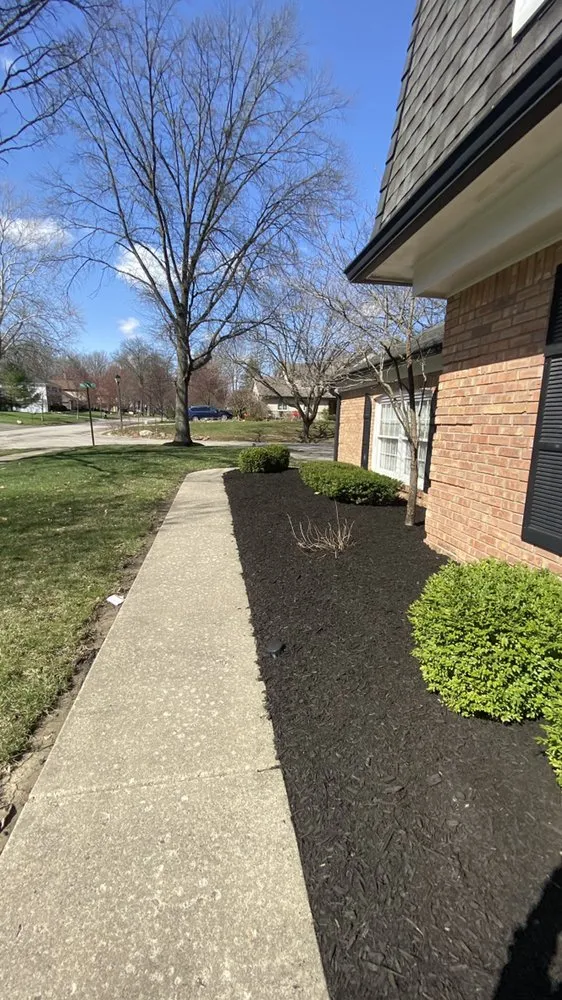 Affordable lawn care service for residential properties across Indianapolis, IN - Morales Construction & More