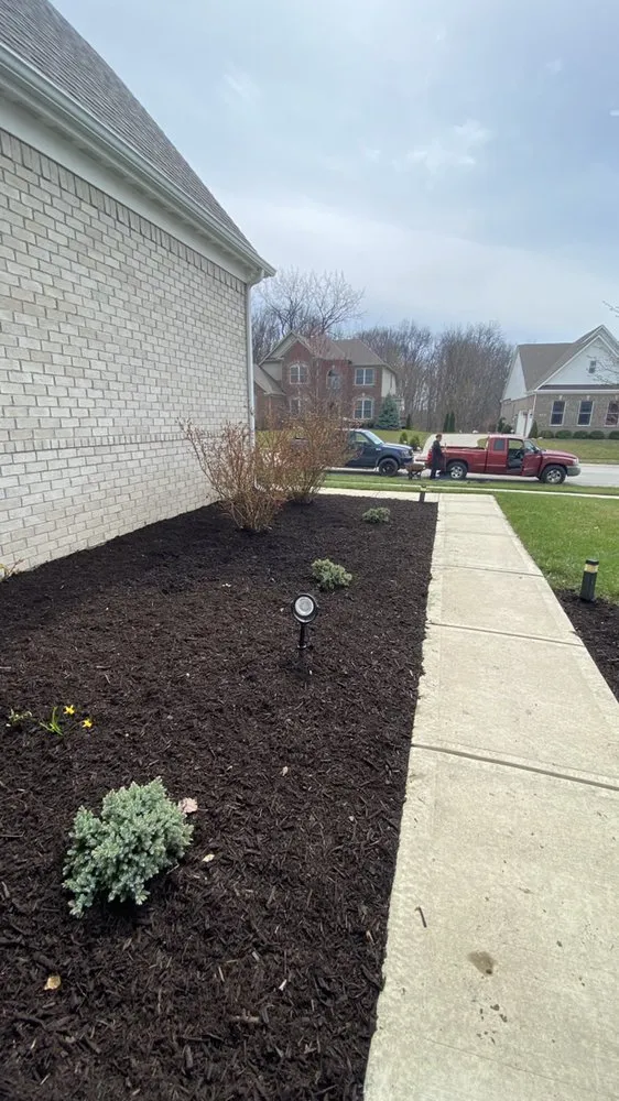 Affordable landscaping services in Indianapolis, IN - Morales Construction & More