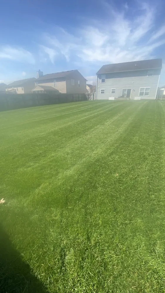 Reliable landscape installation for residential properties across Indianapolis, IN - Morales Construction & More