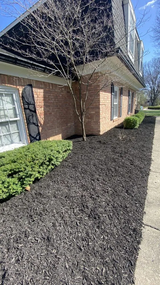 Top-rated landscape design in Indianapolis, IN - Morales Construction & More