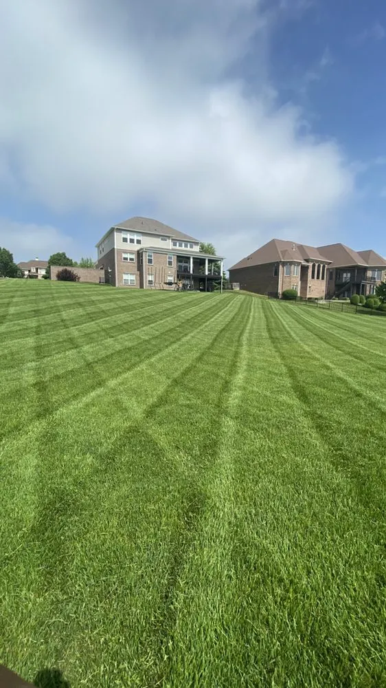 Professional lawn mowing service for residential properties in Indianapolis, IN by Morales Construction & More