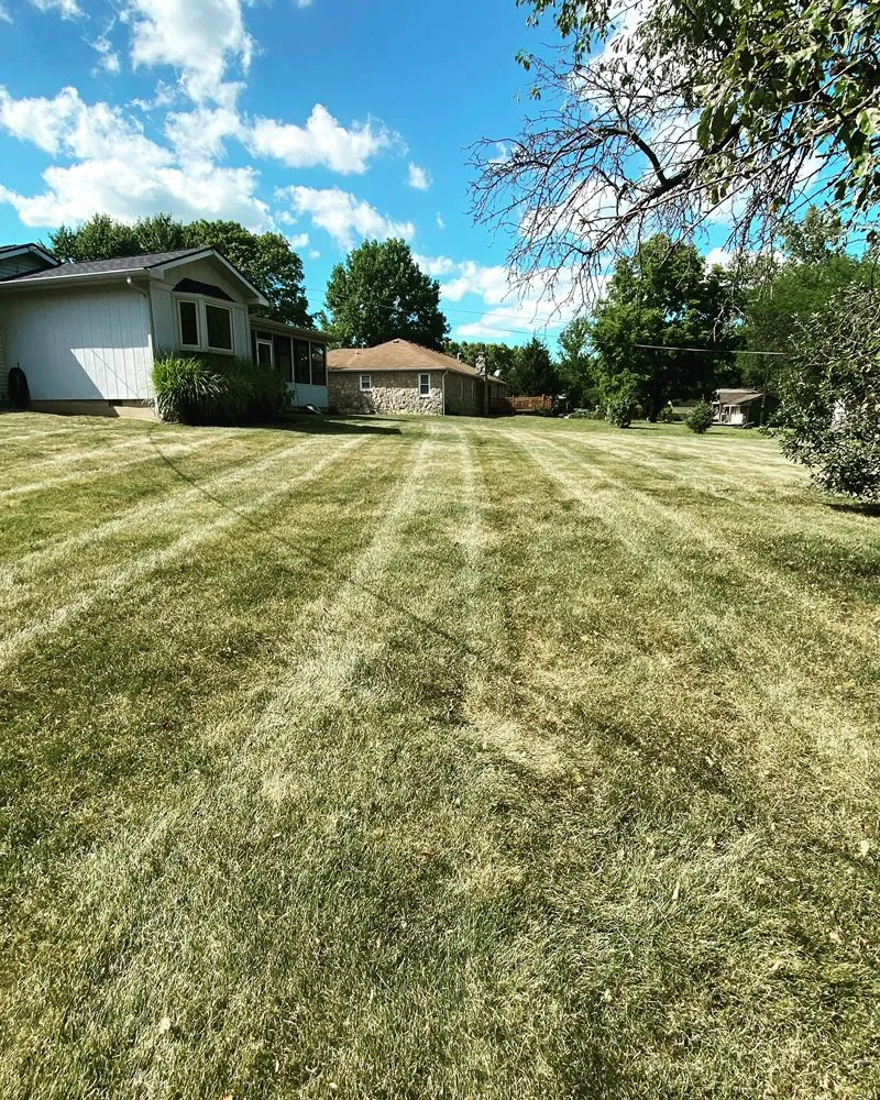 Expert lawn care service in Indianapolis, IN - Morales Construction & More