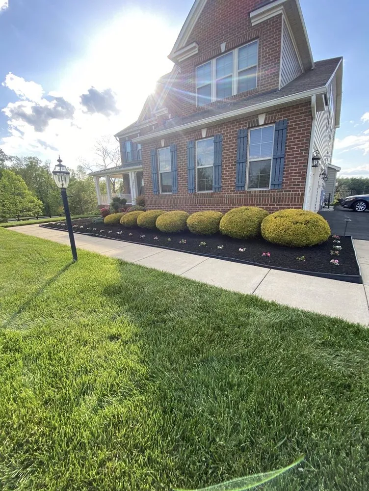 Professional yard cleanup service experts serving Manassas, VA - Morales Construction