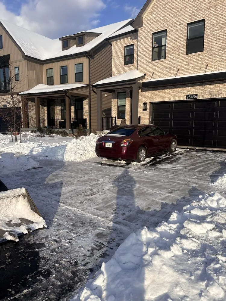 Affordable yard cleanup service in Manassas, VA - Morales Construction